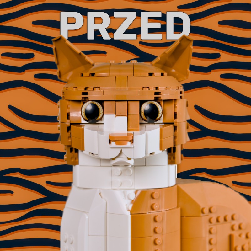 Wąsy dla kota Lego - wibrysy - 21349 - 21376 2